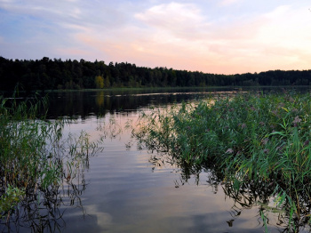 00046_Abend am See_Katja Priefert.jpg